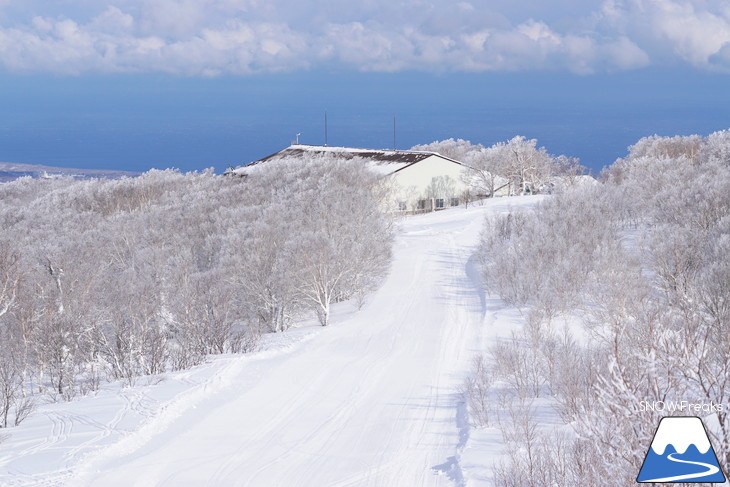 北海道スキー場巡り 2018 ～函館七飯スノーパーク・ニヤマ高原スキー場～